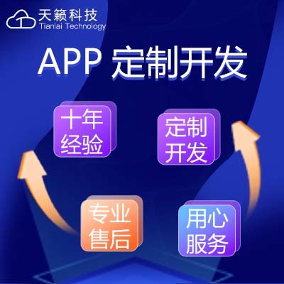 天籁科技APP小程序网站开发